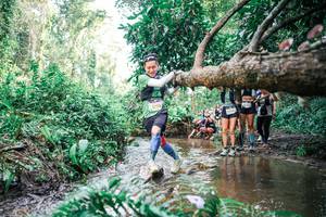 BIB: 
                            <button type="button" onclick="openModal(25515727)" class="btn btn-primary btn-sm float-right btn-popup" data-toggle="modal" data-target=".modal-high-quality">
                        <i class="fas fa-shopping-cart"></i> Add to Cart
                    </button>
                                            <button type="button" onclick="isThisMe(25515727, true)" class="btn btn-success btn-sm float-right btn-popup btn-isme hidden" data-toggle="tooltip" data-placement="bottom" title="นี่คือรูปของคุณใช่ไหม คลิกที่นี่เพื่อเอาเข้าอัลบั้ม">
                        <i class="fas fa-plus"></i> Add to album
                    </button>
                    <button type="button" onclick="isThisMe(25515727, false)" class="btn btn-warning btn-sm float-right btn-popup btn-isnotme hidden">
                        <i class="fas fa-ban"></i> Remove from album
                    </button>